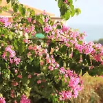 Apartment Cap Esterel Village Duplex Vue Et Golf *