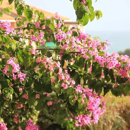 아파트 Cap Esterel Village Duplex Vue Et Golf *